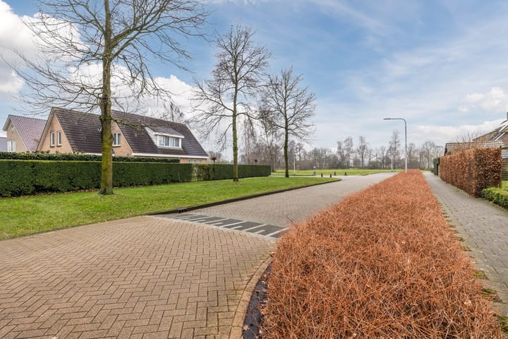 Foto 5 van Wiedenland 2