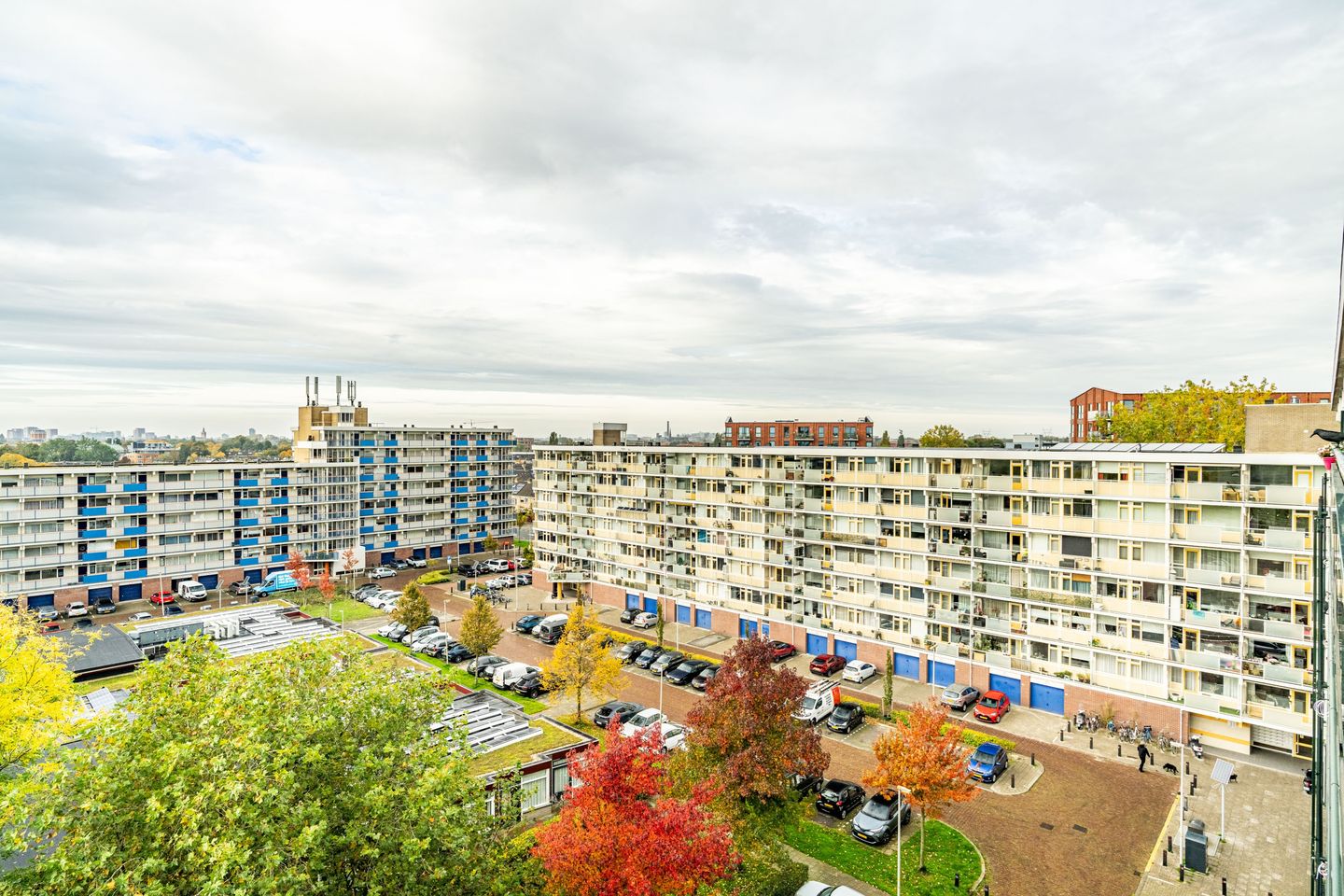 Photo 19 of Merelstraat 176