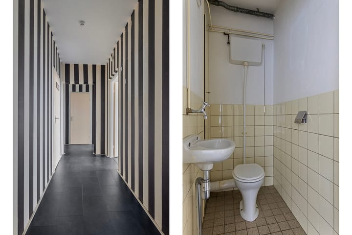 Foto 8 van Octant 205