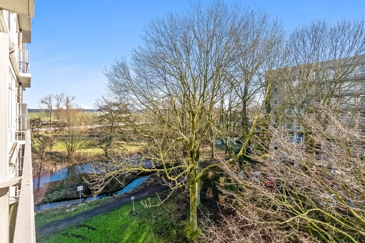 Foto 23 van Isabellaland 1612