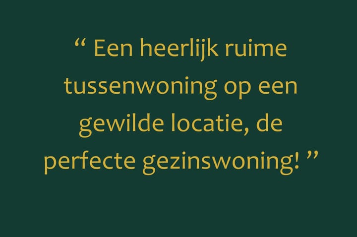 Foto 7 van Randmeer 49