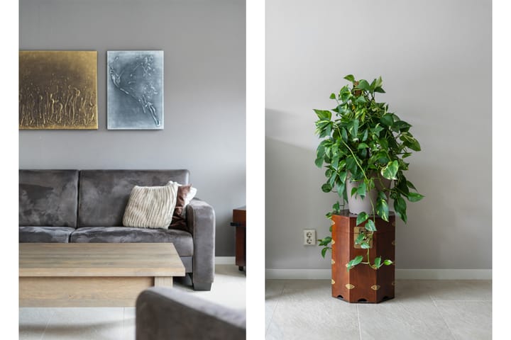 Foto 16 van Randmeer 49