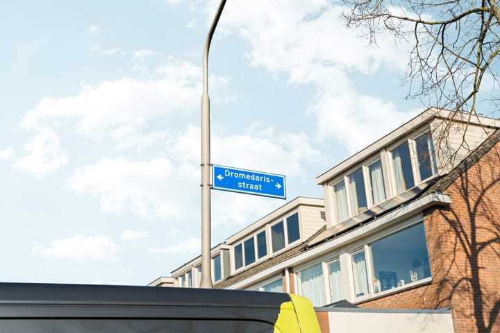 Photo 59 of Dromedarisstraat 12