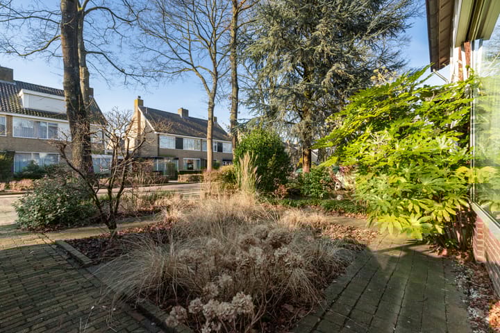 Foto 5 van Camminghalaan 20