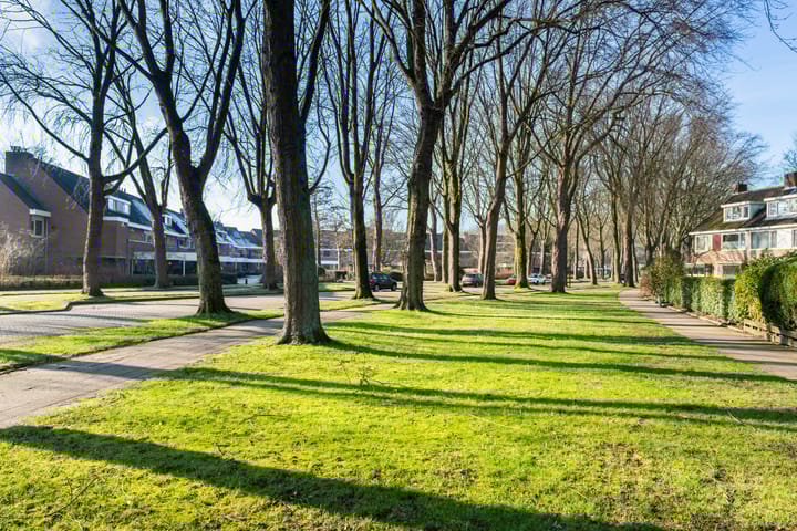 Photo 36 of Camminghalaan 20