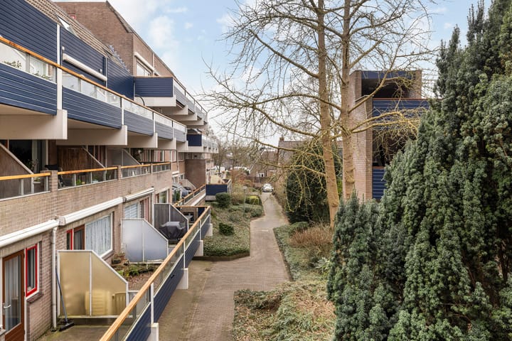 Foto 8 van Doornenburg 37