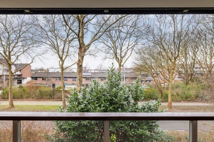 Foto 19 van Doornenburg 37