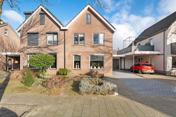 Foto 2 van Pijlkruid 3