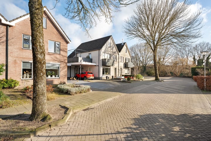 Foto 3 van Pijlkruid 3