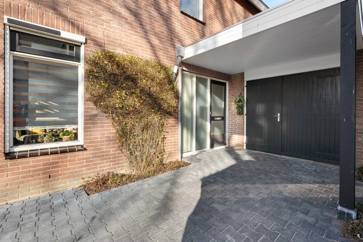 Foto 4 van Pijlkruid 3