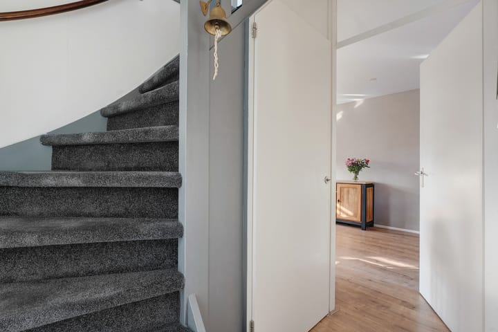 Foto 5 van Pijlkruid 3