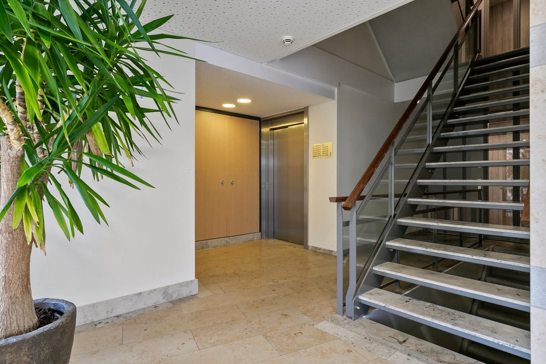 Photo 7 of Poelruit 60