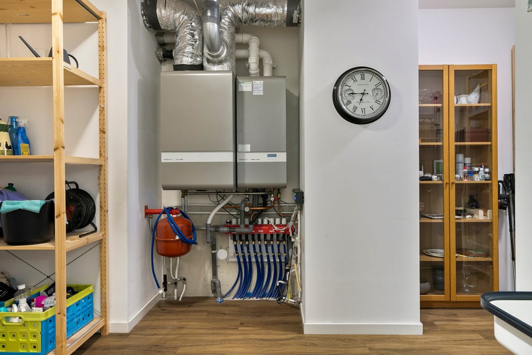 Photo 28 of Poelruit 60