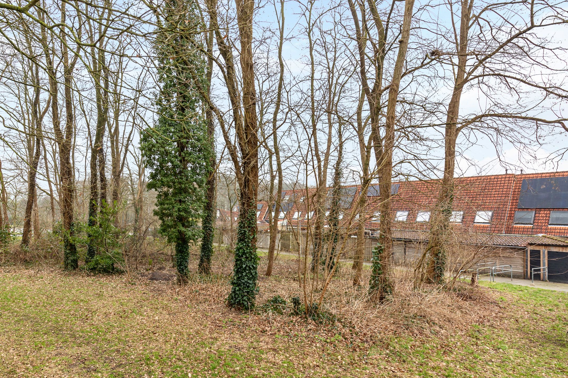 Foto 15 van Bittervoornstraat 53