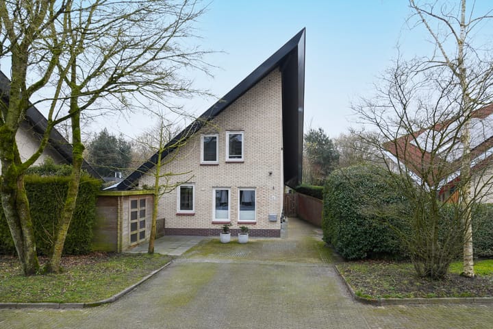 Foto 47 van Grote Haag 87