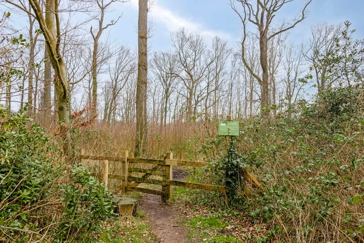 Foto 27 van Landrebenlaan 27