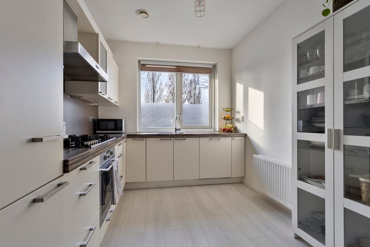 Foto 12 van Hanzeboulevard 51