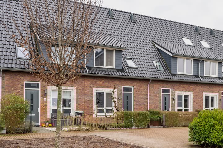 Foto 1 van Tureluur 39