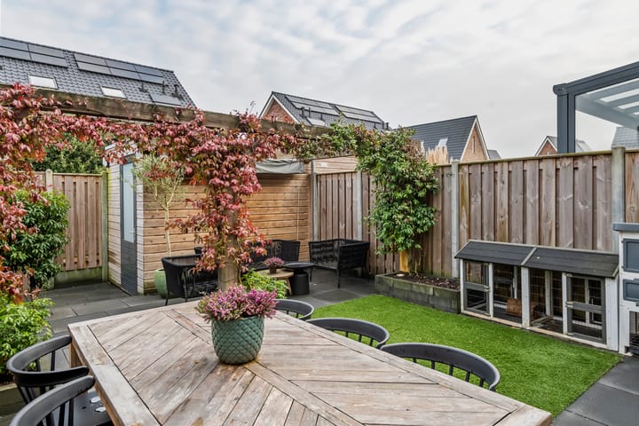 Foto 24 van Tureluur 39