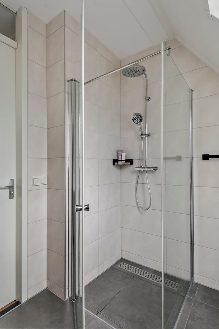 Foto 40 van Tureluur 39