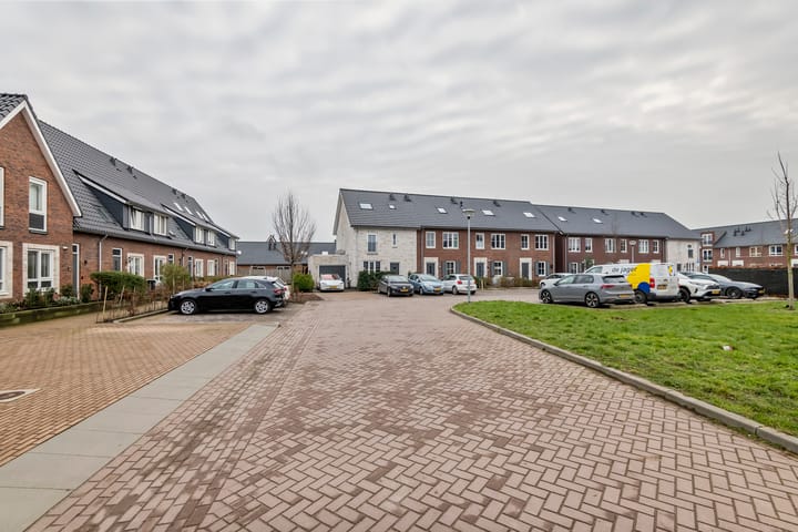 Foto 47 van Tureluur 39