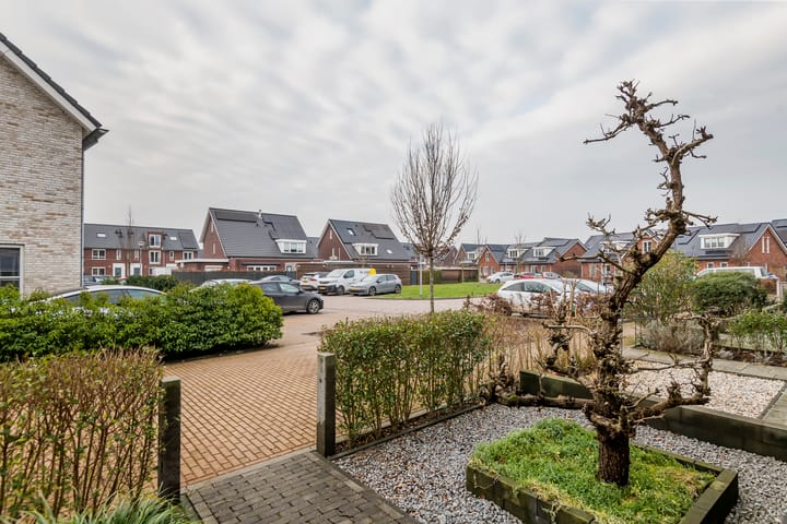 Foto 48 van Tureluur 39