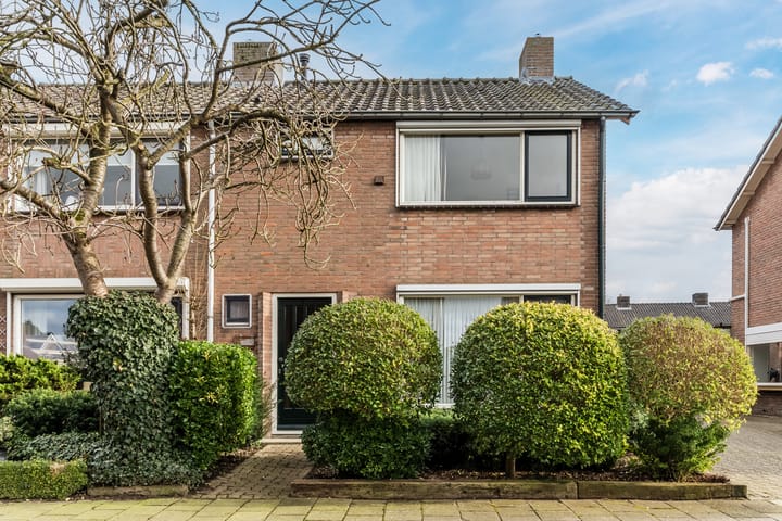 Foto 5 van Hoge Hofstraat 5