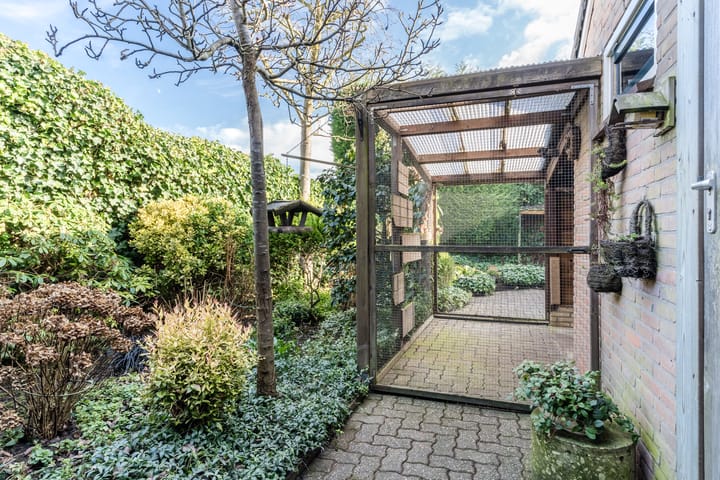 Foto 26 van Hoge Hofstraat 5