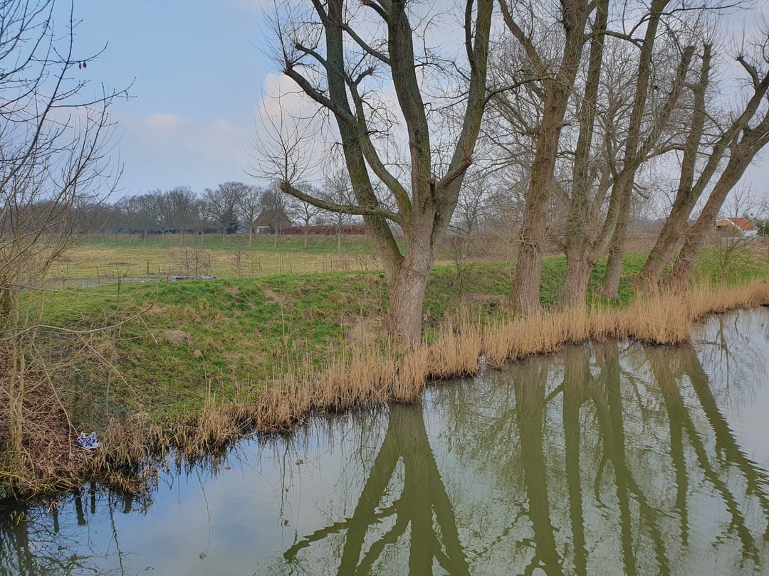 Foto 16 van Welhoeksedijk 90