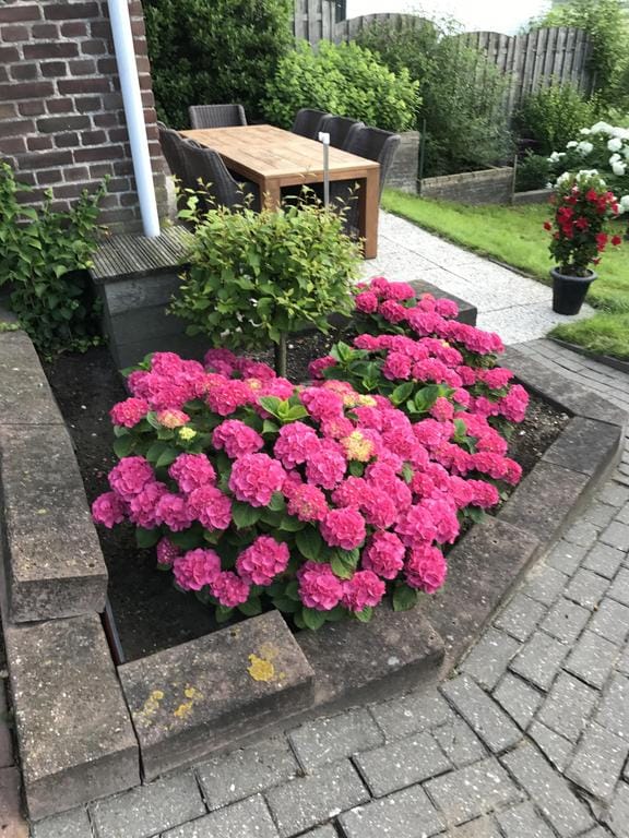 Foto 44 van Welhoeksedijk 90