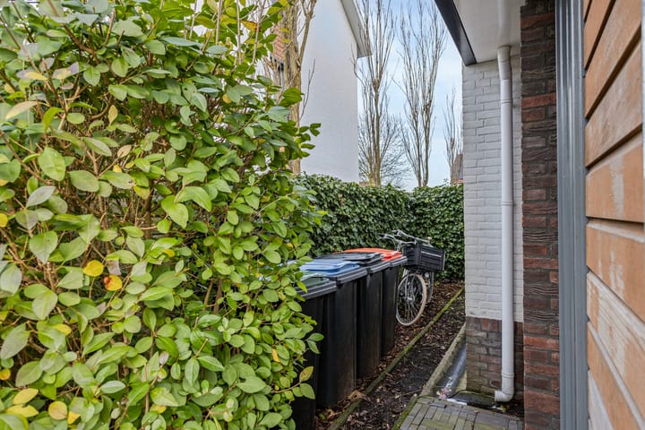 Foto 45 van Spinnerpad 9