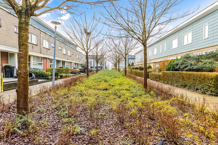 Foto 44 van Milletplantsoen 14