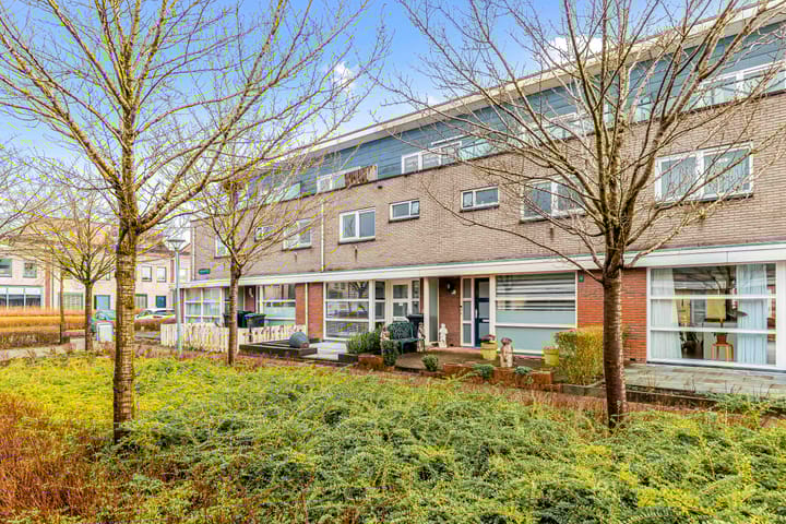 Foto 48 van Milletplantsoen 14