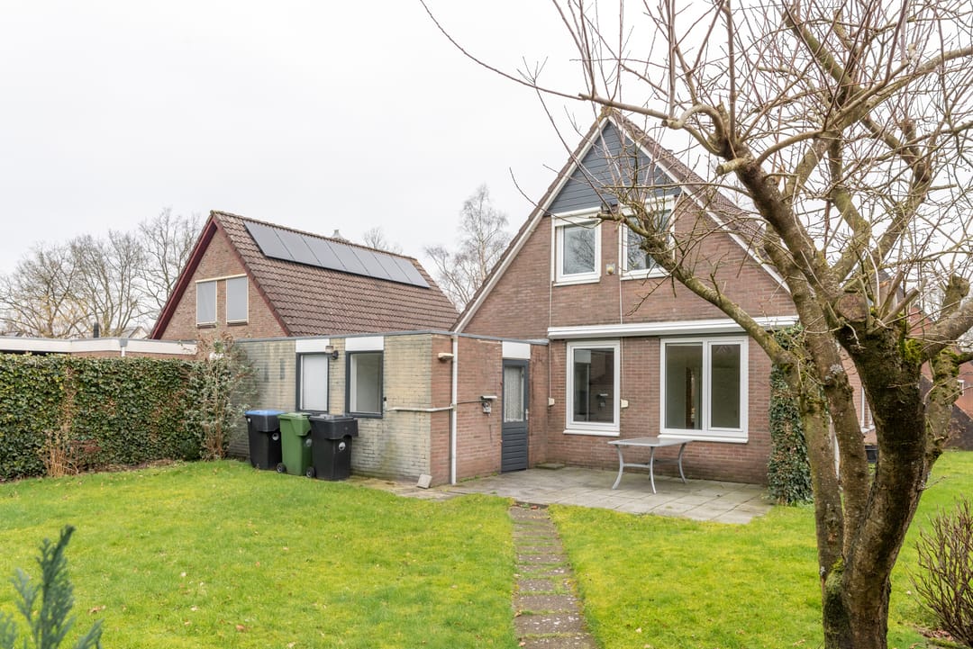 Foto 2 van Leeuwetand 113