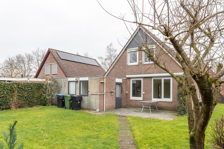 Foto 2 van Leeuwetand 113