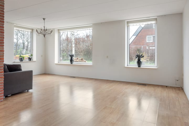 Foto 3 van Leeuwetand 113