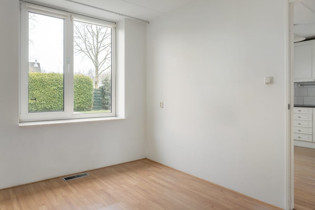 Foto 11 van Leeuwetand 113