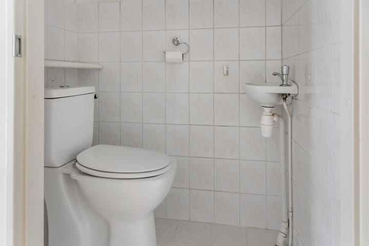 Foto 14 van Leeuwetand 113