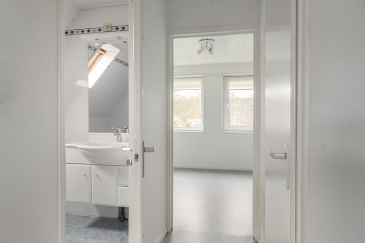 Foto 17 van Leeuwetand 113