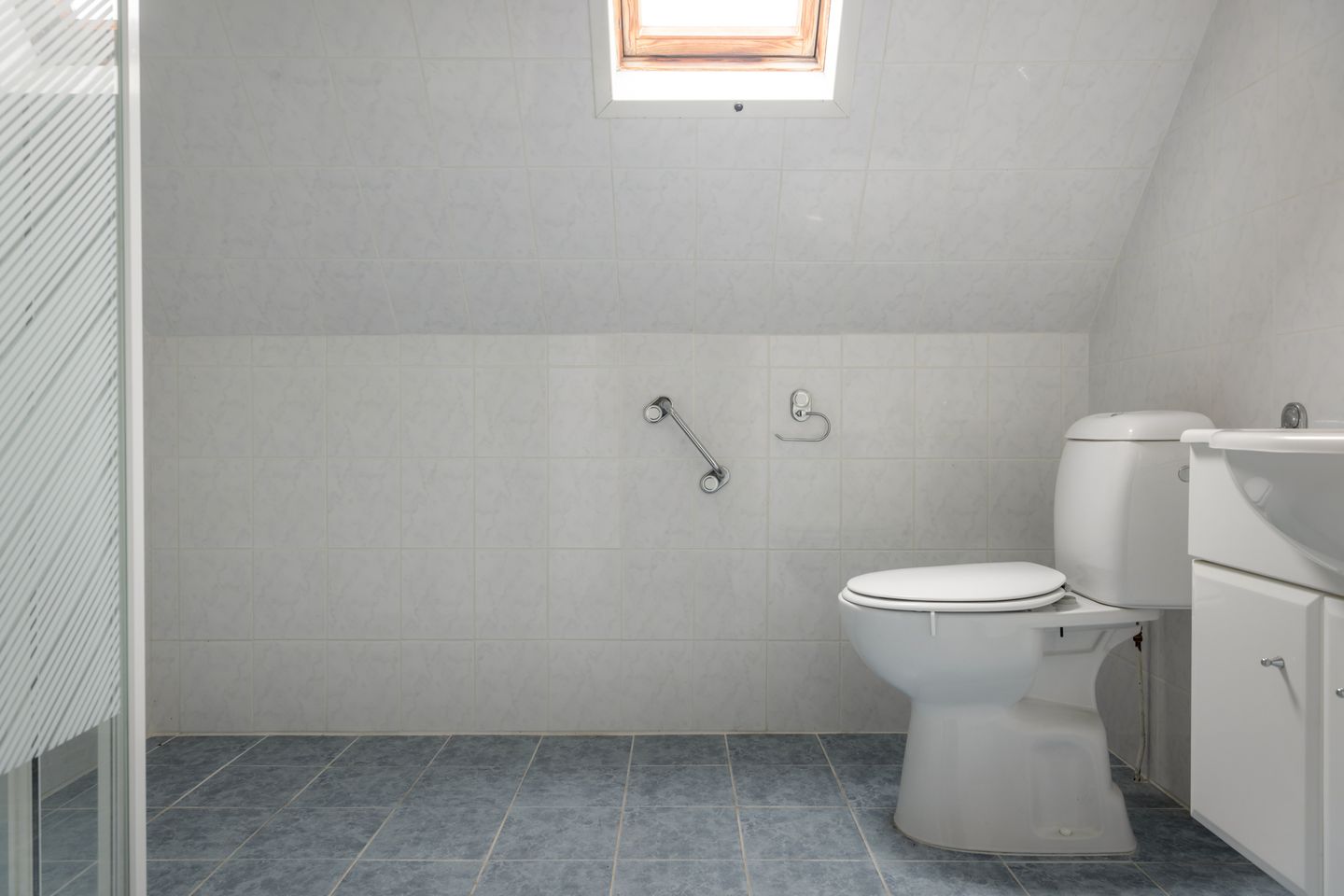 Foto 19 van Leeuwetand 113