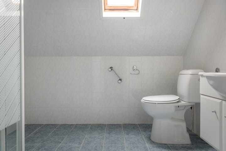 Foto 19 van Leeuwetand 113