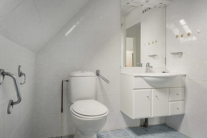 Foto 20 van Leeuwetand 113