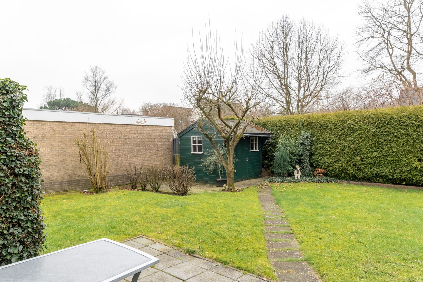 Foto 25 van Leeuwetand 113