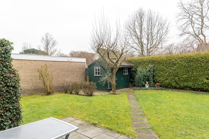 Foto 25 van Leeuwetand 113