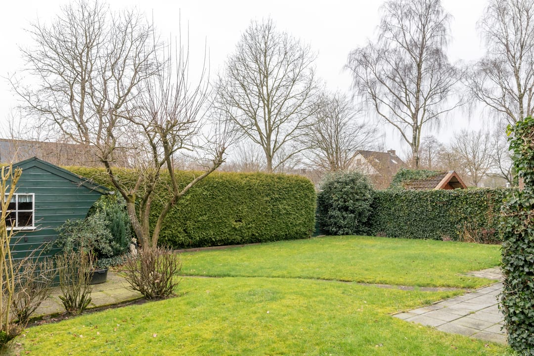 Foto 26 van Leeuwetand 113