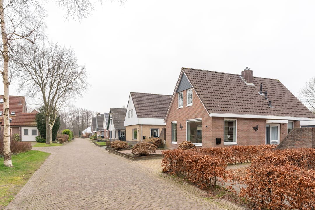 Foto 31 van Leeuwetand 113