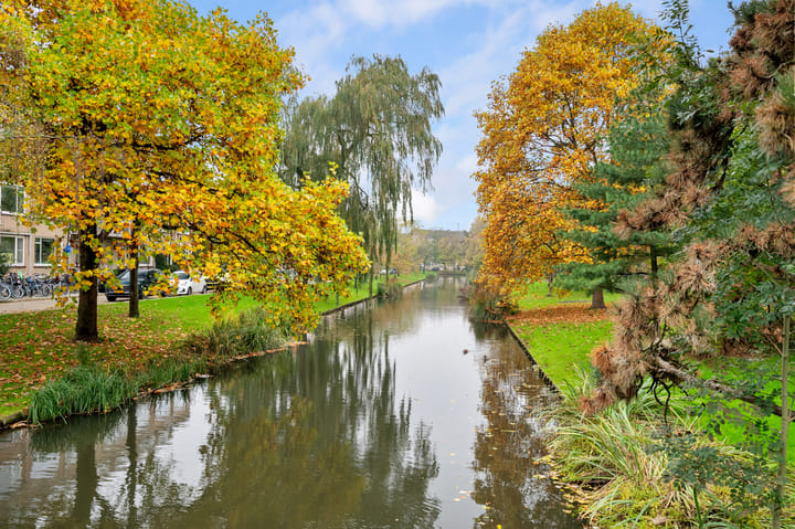 Foto 5 van Statensingel 96-B