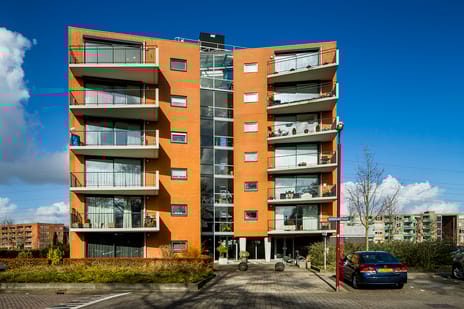 Galecop II main image