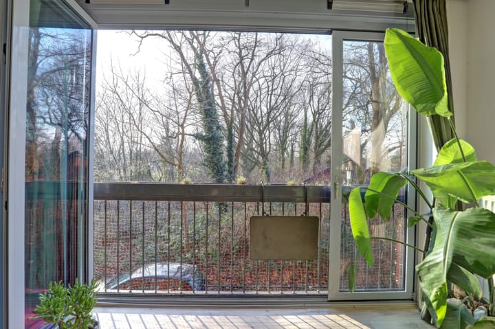 Foto 3 van Puntenburgerlaan 113