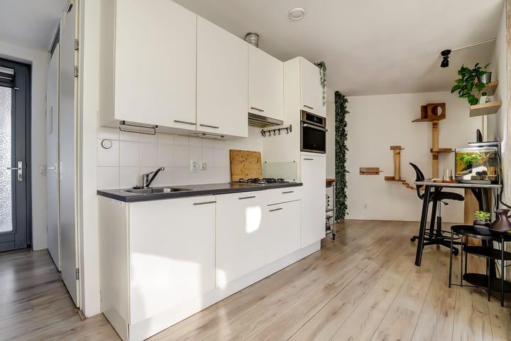 Foto 9 van Puntenburgerlaan 113